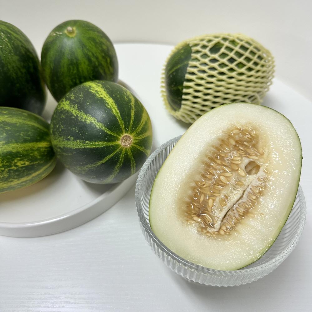 고령 파파야 메론 멜론 산지직송 3kg 4-9과 제철과일