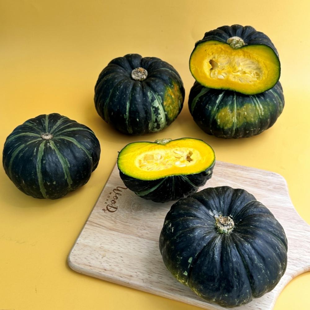 제주 보우짱 미니 단호박 밤호박 밤단호박 5kg