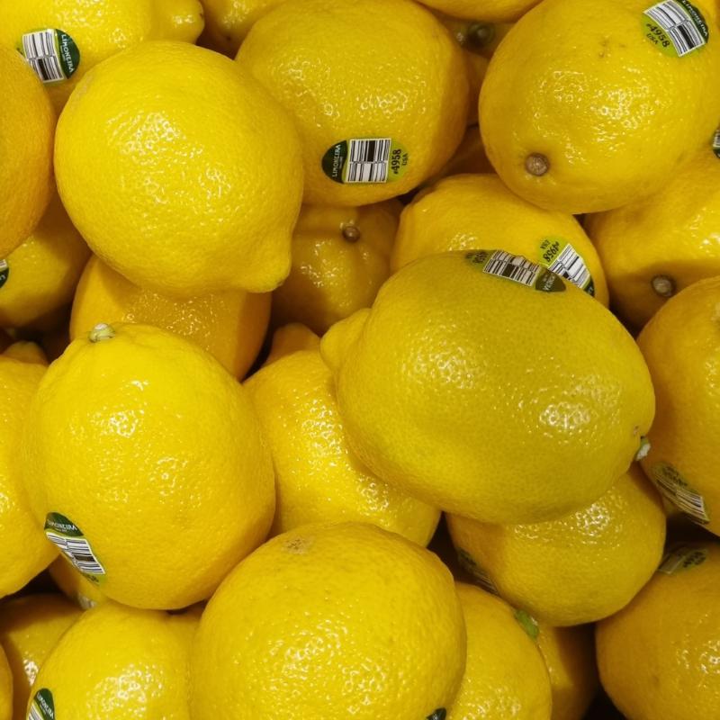 초이스등급 레몬 미국산 대사이즈 완박스 115과