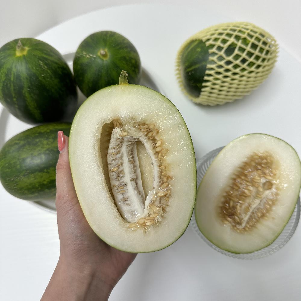 고령 파파야 메론 멜론 산지직송 5kg 5-10과 제철과일