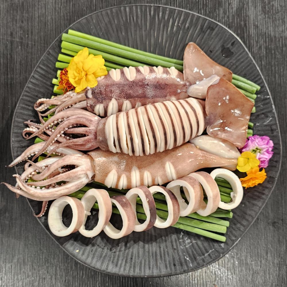 손질 오징어 통오징어 1미 (200g) x 6팩 냉동오징어