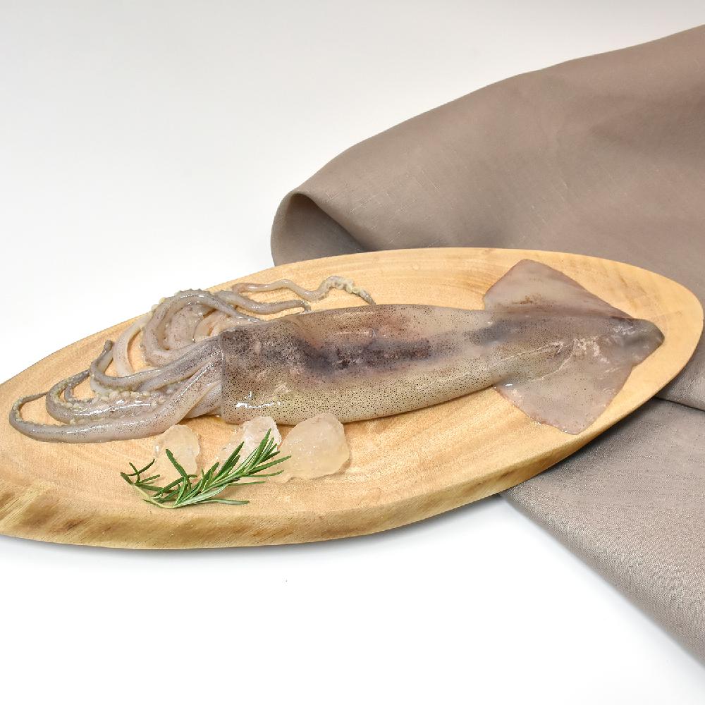 손질 오징어 통오징어 1미 (200g) x 6팩 냉동오징어