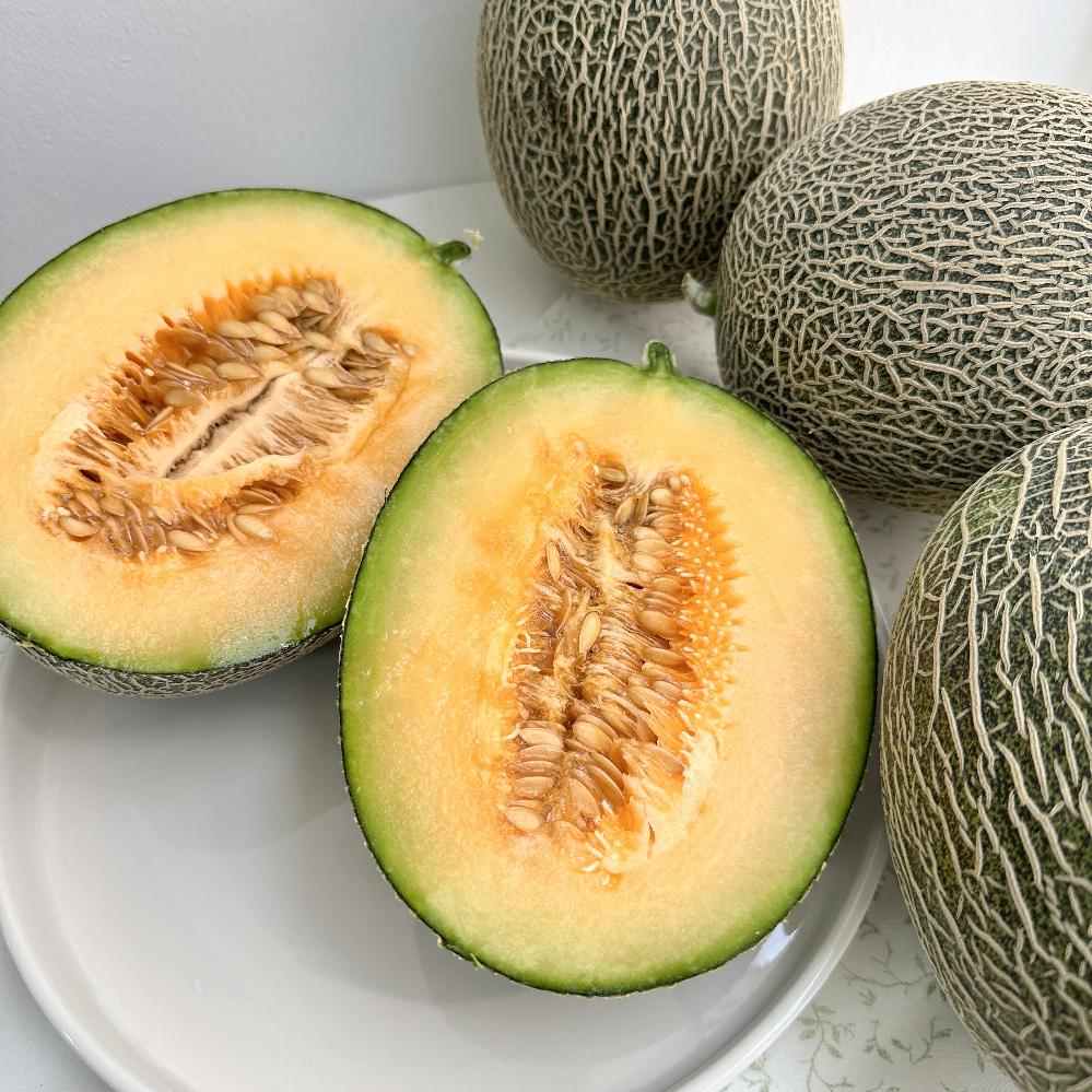 산지직송 고당도 그린 하미과 메론 5kg 4-6과 멜론 매론