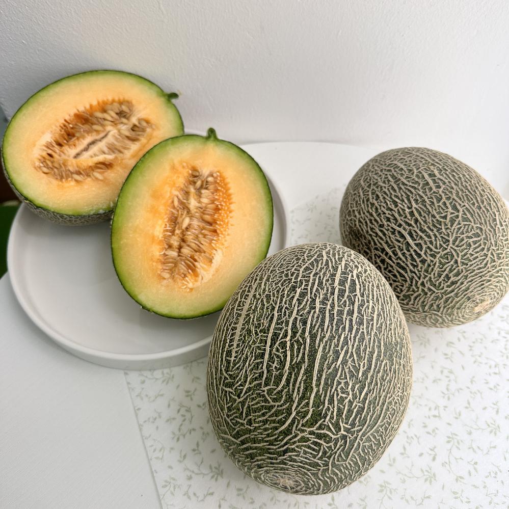 산지직송 고당도 그린 하미과 메론 2kg 3-4과 멜론 매론