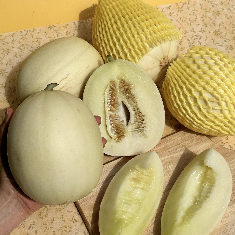 고당도 설향 메론 5kg 6-10과 멜론 매론